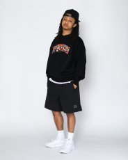 画像4: APPLEBUM  Active Waterproof Utility Shorts (4)