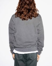 画像7: nonnative  HIKER HALF ZIP PULLOVER COTTON SWEAT PIGMENT DYE (7)