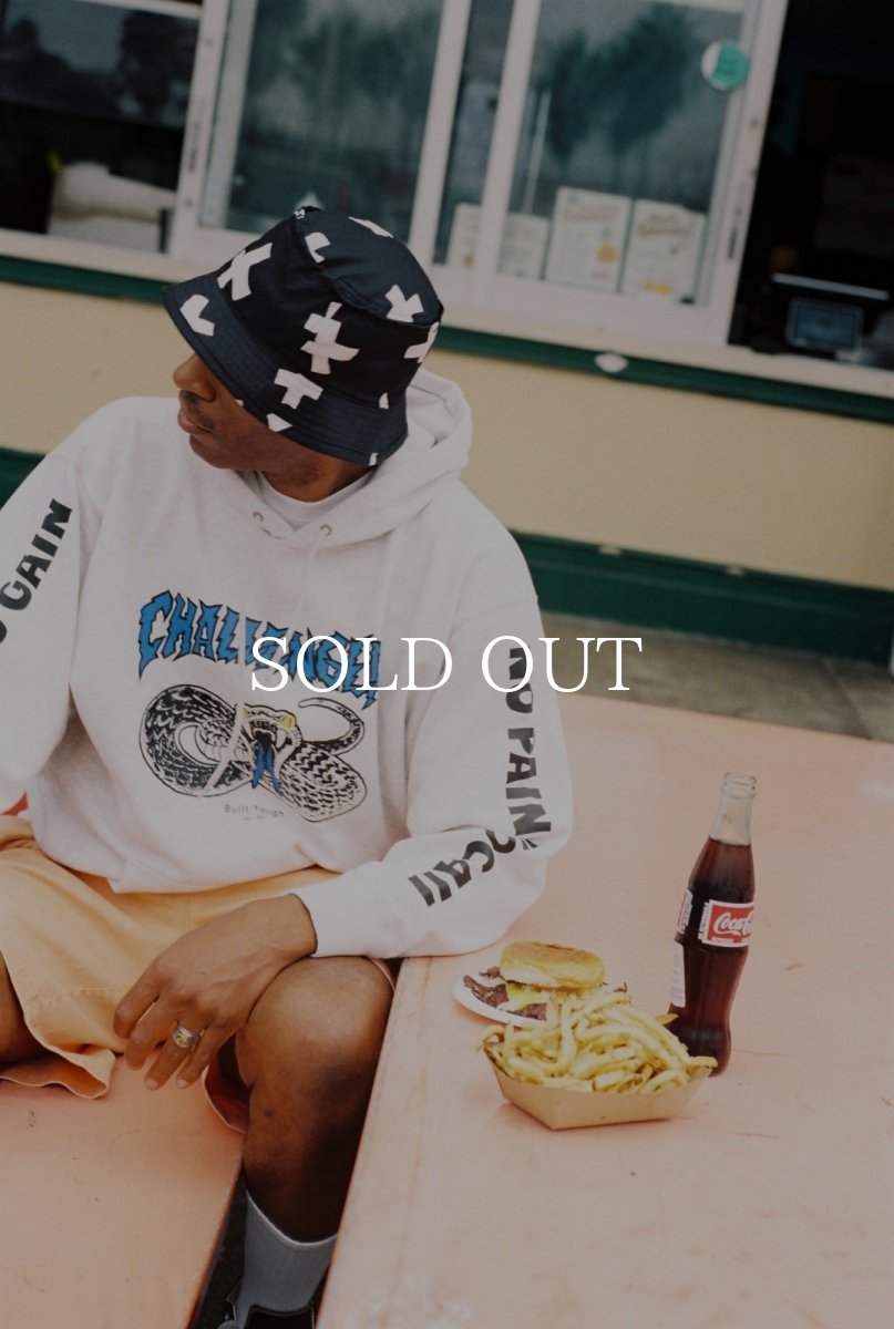 画像8: CHALLENGER  SNAKE HOODIE (8)