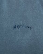 画像24: APPLEBUM  Feminish Satin Aloha Shirt (24)