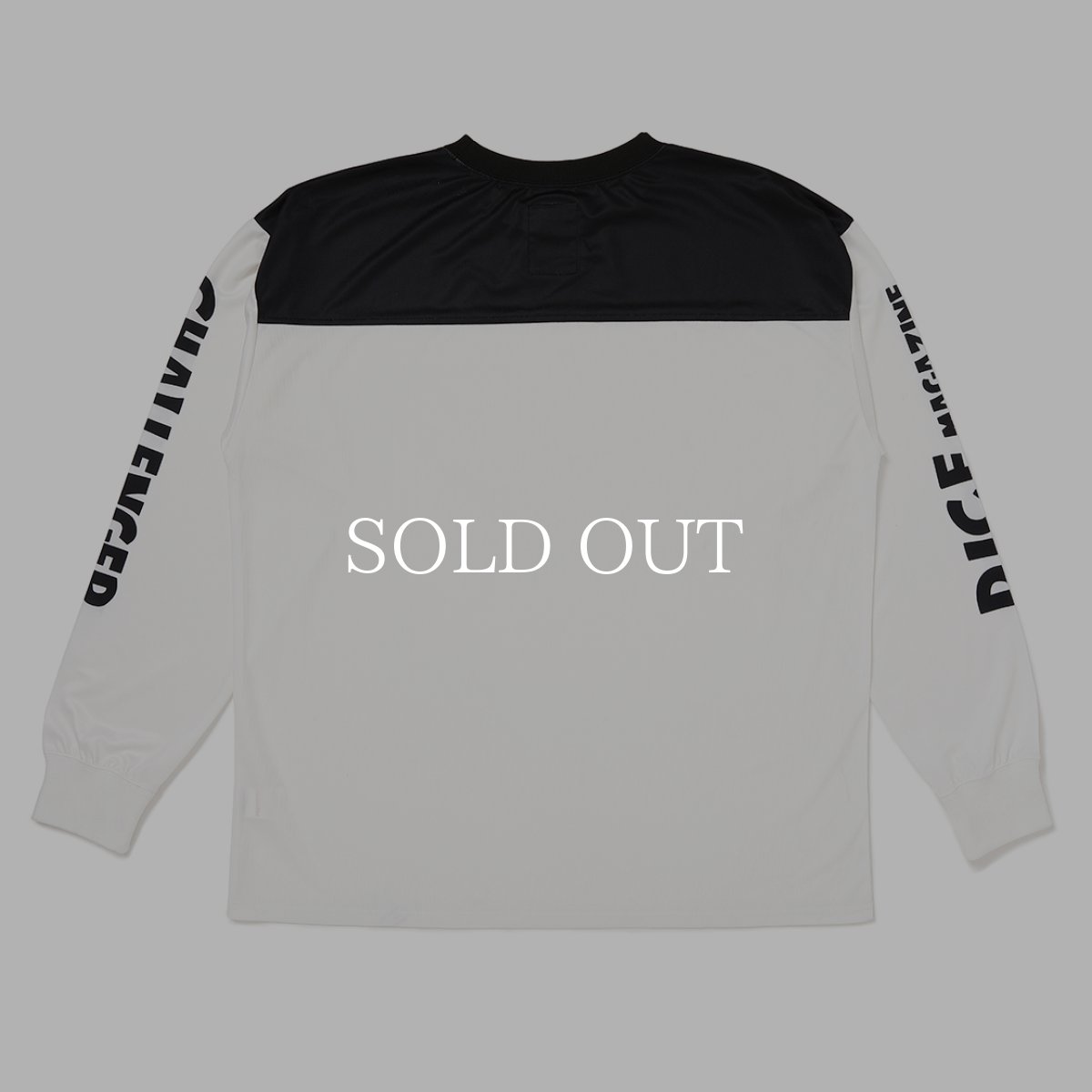 画像3: CHALLENGER  L/S DRY DICE TEE (3)