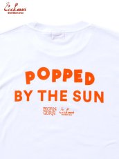 画像11: COOKMAN  Tシャツ BjornQorn Popped by The Sun (11)