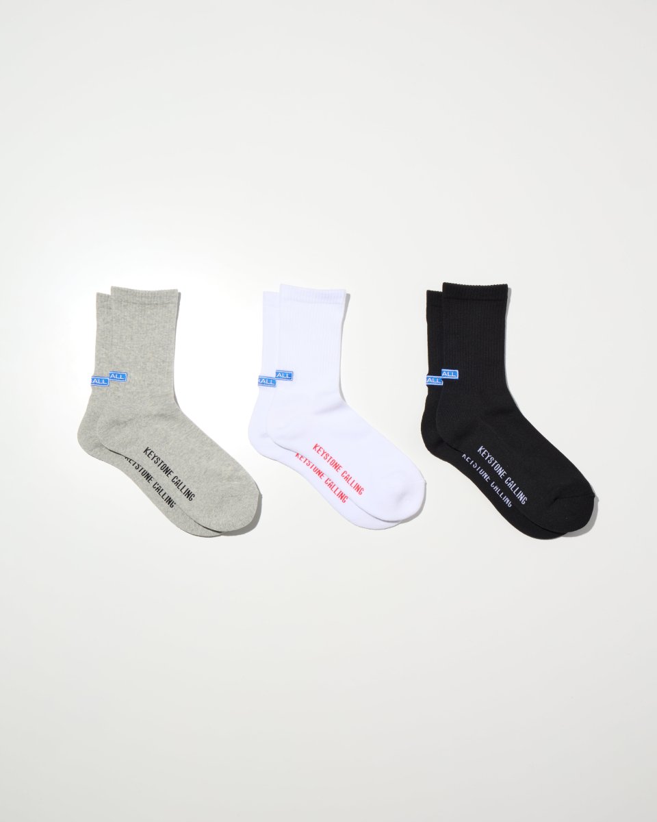 画像1: RADIALL    WHEELS EMB - 1PAC SOX MID / DRALON (1)