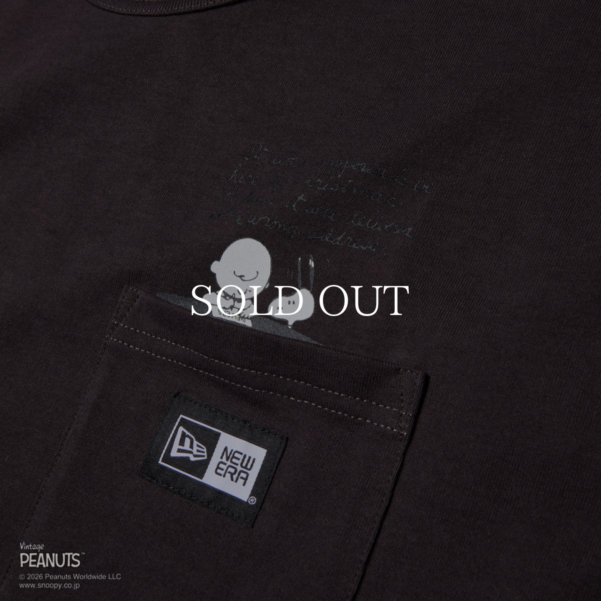 画像2: NEW ERA  半袖 ウォッシュド コットン ポケット Tシャツ Vintage PEANUTS ピーナッツ スミクロ (2)