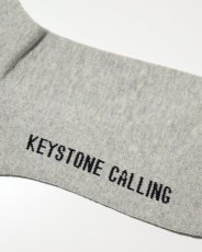 画像7: RADIALL    WHEELS EMB - 1PAC SOX MID / DRALON (7)