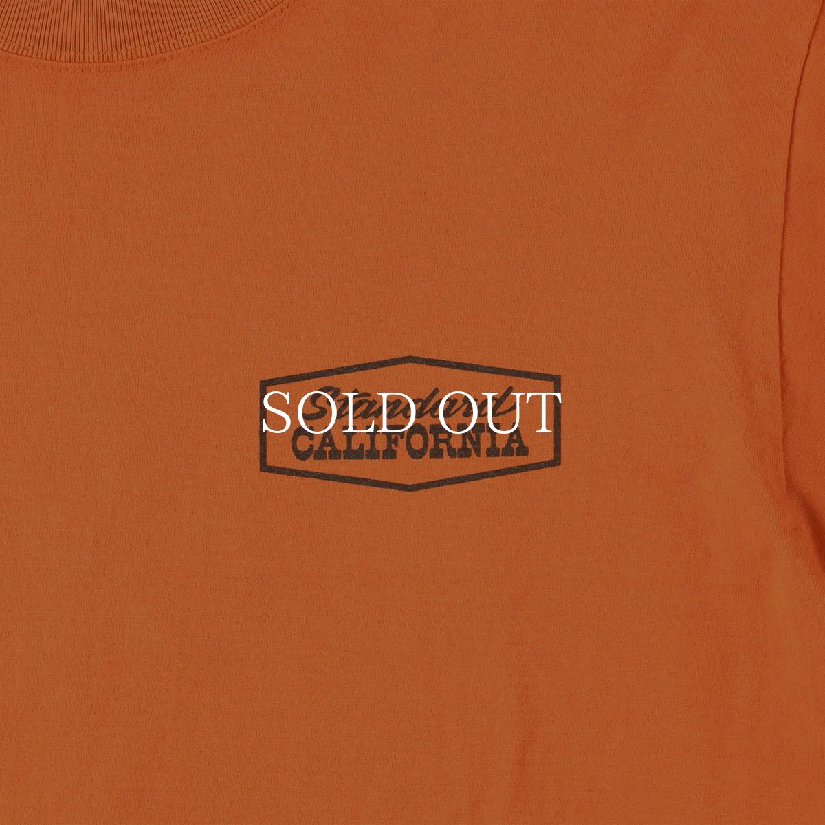 画像12: STANDARD CALIFORNIA  SD Heavyweight Stadium Logo T (12)