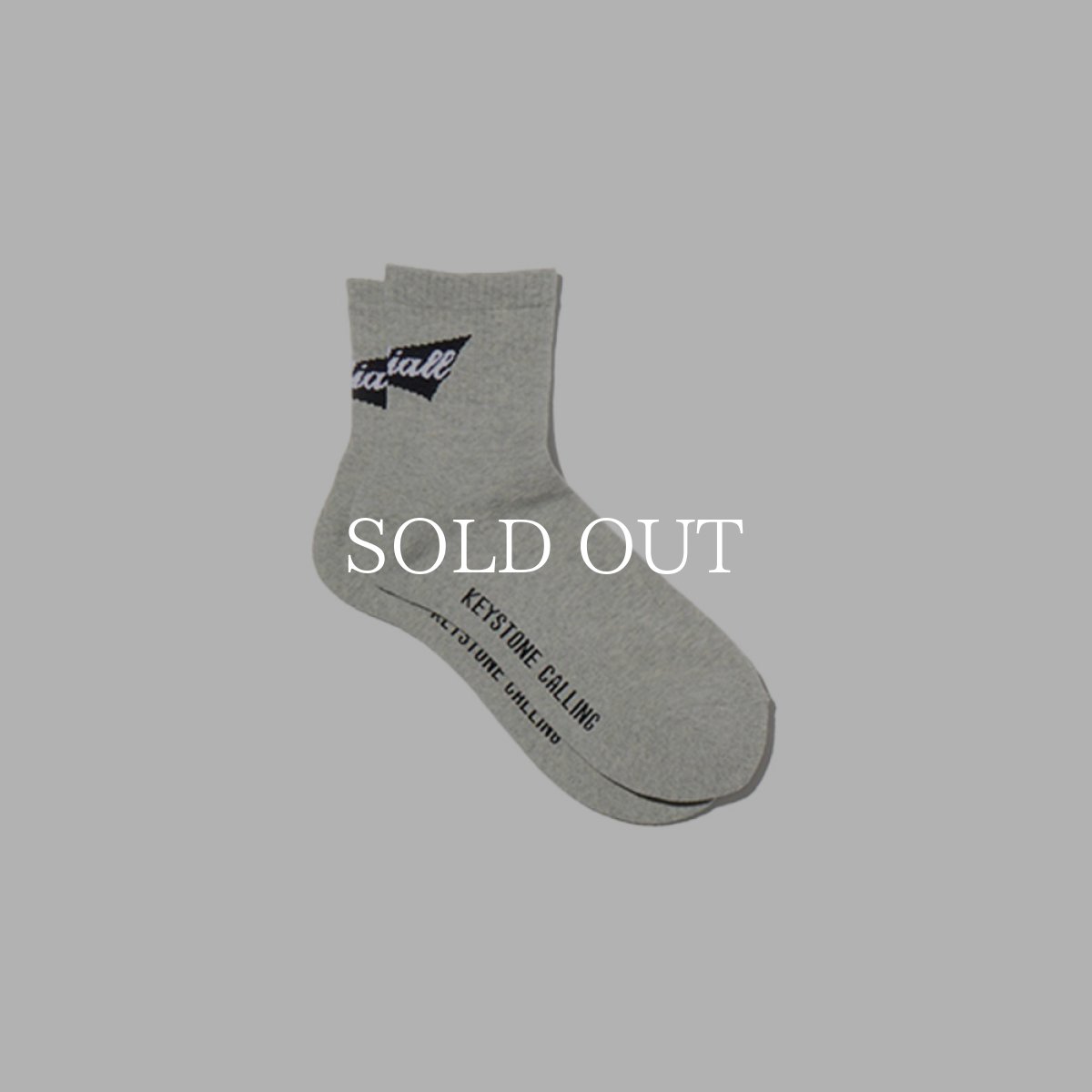 画像7: RADIALL   1PAC SOX SHORT / DRALON (7)