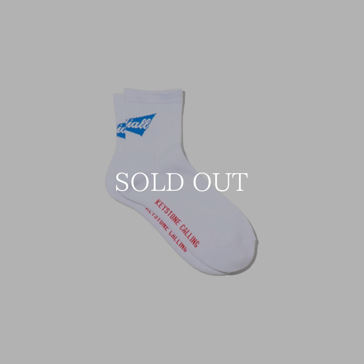 画像2: RADIALL   1PAC SOX SHORT / DRALON (2)