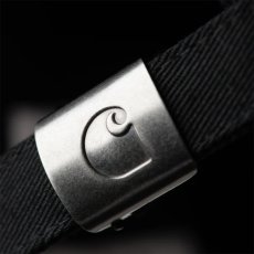 画像3: CARHARTT WIP  Spoiled Cap  (3)