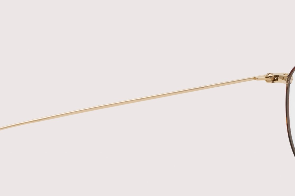 画像11: NOCHINO OPTICAL  KOUGETSU #5. CHAMPAGNE GOLD & AMBER × CLEAR to GREY (調光) (11)