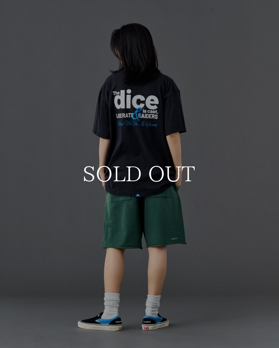 画像16: Liberaiders  DICE TEE (16)