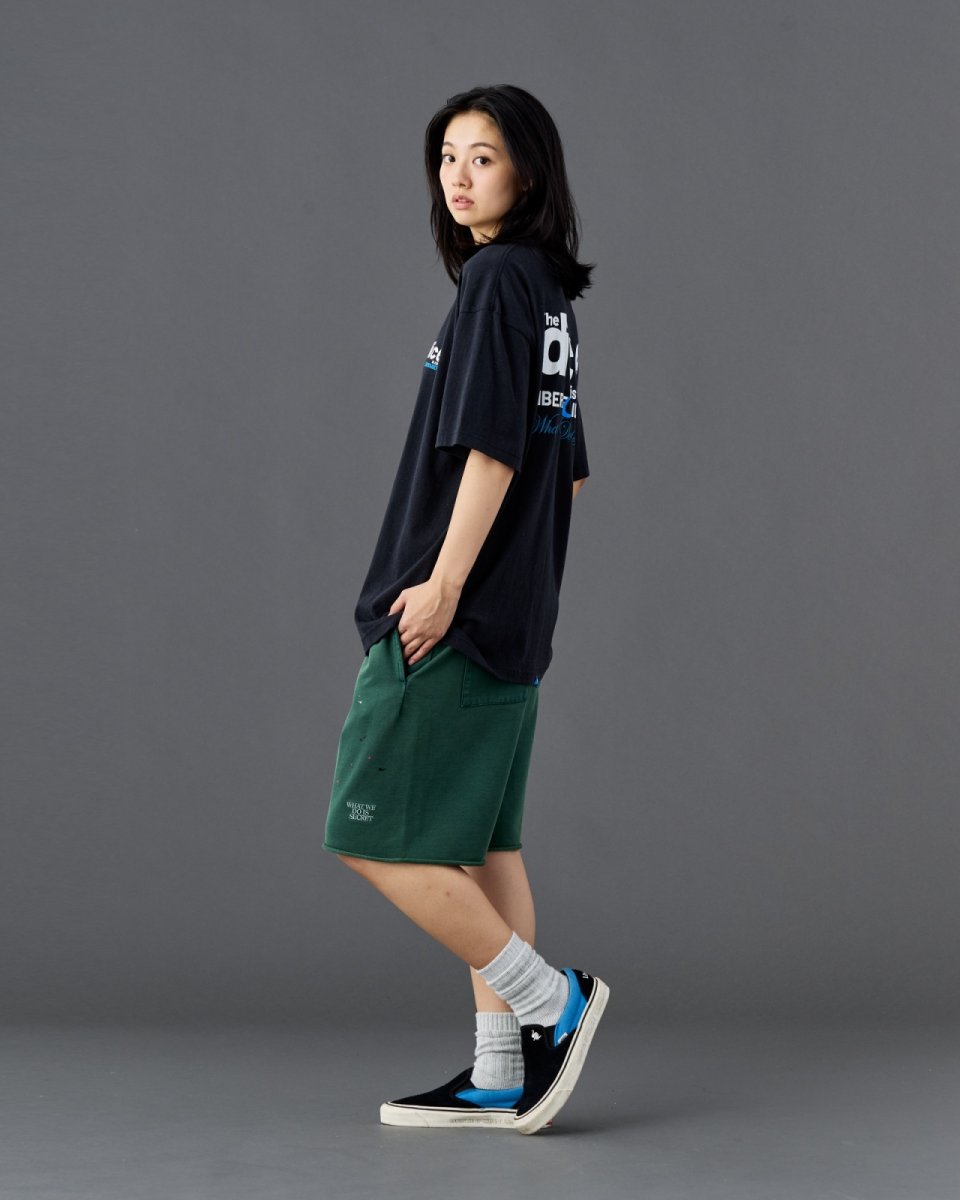 画像15: Liberaiders  DICE TEE (15)