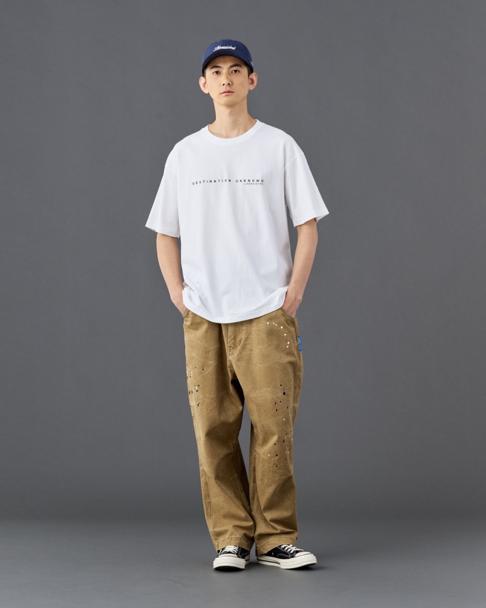 画像22: Liberaiders  MAW AERIAL PHOTO TEE (22)