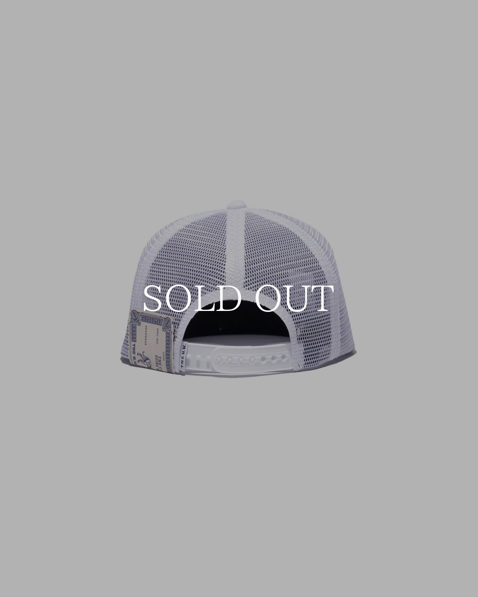 画像10: THE H.W.DOG&CO.  MESH TRUCKER CAP (10)