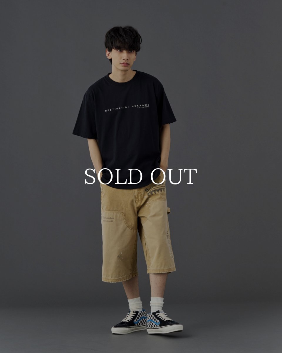 画像10: Liberaiders  MAW AERIAL PHOTO TEE (10)