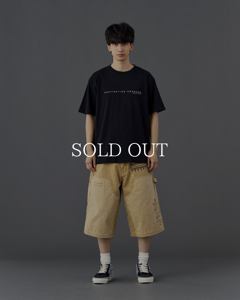 画像8: Liberaiders  MAW AERIAL PHOTO TEE (8)