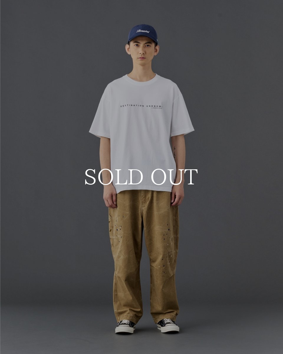 画像23: Liberaiders  MAW AERIAL PHOTO TEE (23)