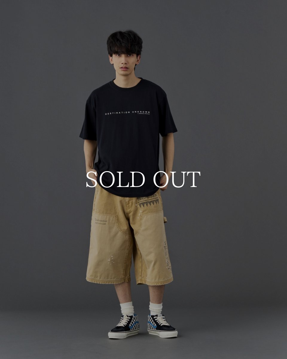 画像9: Liberaiders  MAW AERIAL PHOTO TEE (9)