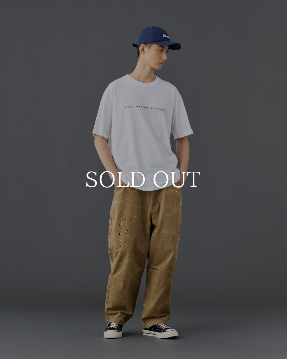 画像24: Liberaiders  MAW AERIAL PHOTO TEE (24)