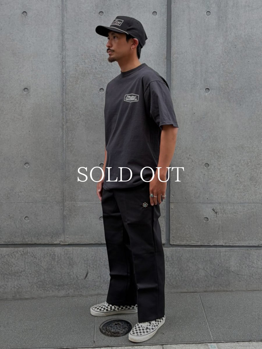 画像3: HTC   HTC Dickies Pants 874 #Flower TQ (3)