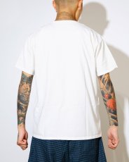 画像6: MASSES  FRUIT OF THE LOOM T-SHIRT PACK (6)
