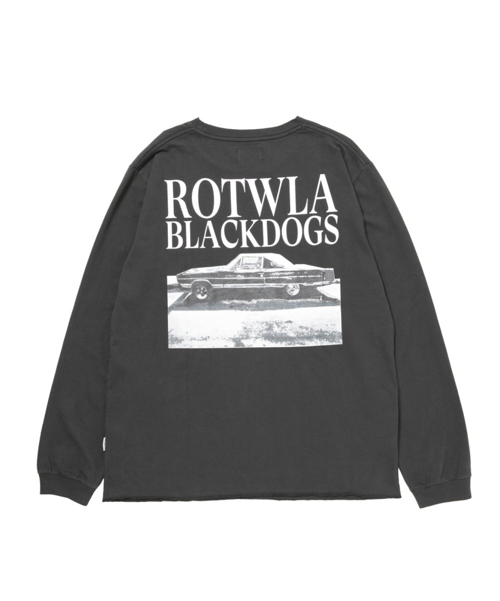 画像2: ROTTWEILER 【先行予約】R9 PHOTO LS TEE (2)