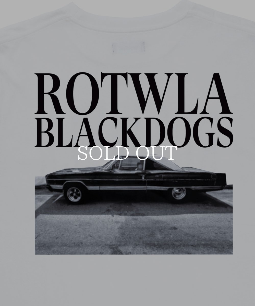 画像4: ROTTWEILER 【先行予約】R9 PHOTO TEE (4)