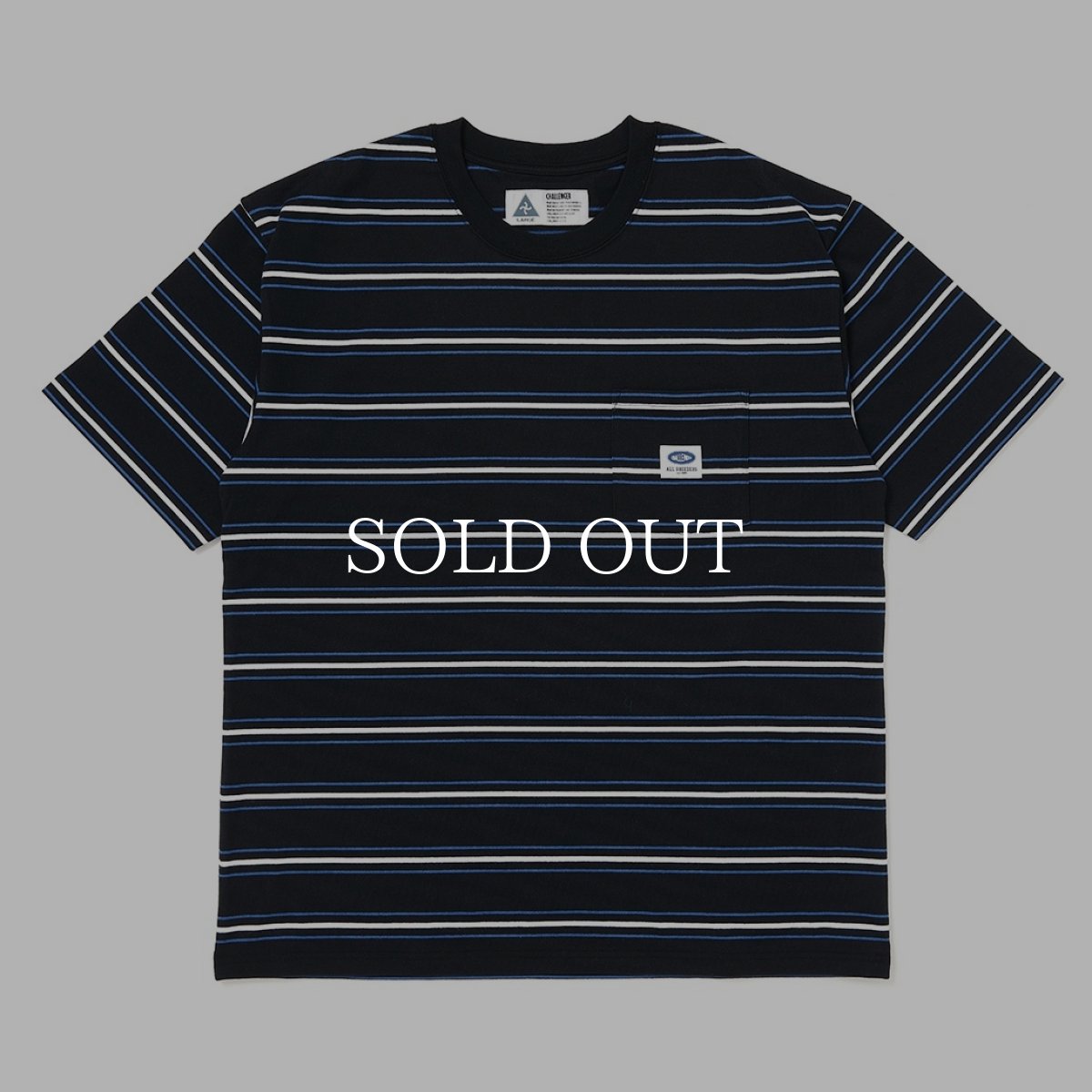 画像1: CHALLENGER  S/S AUTHENTIC BORDER TEE (1)