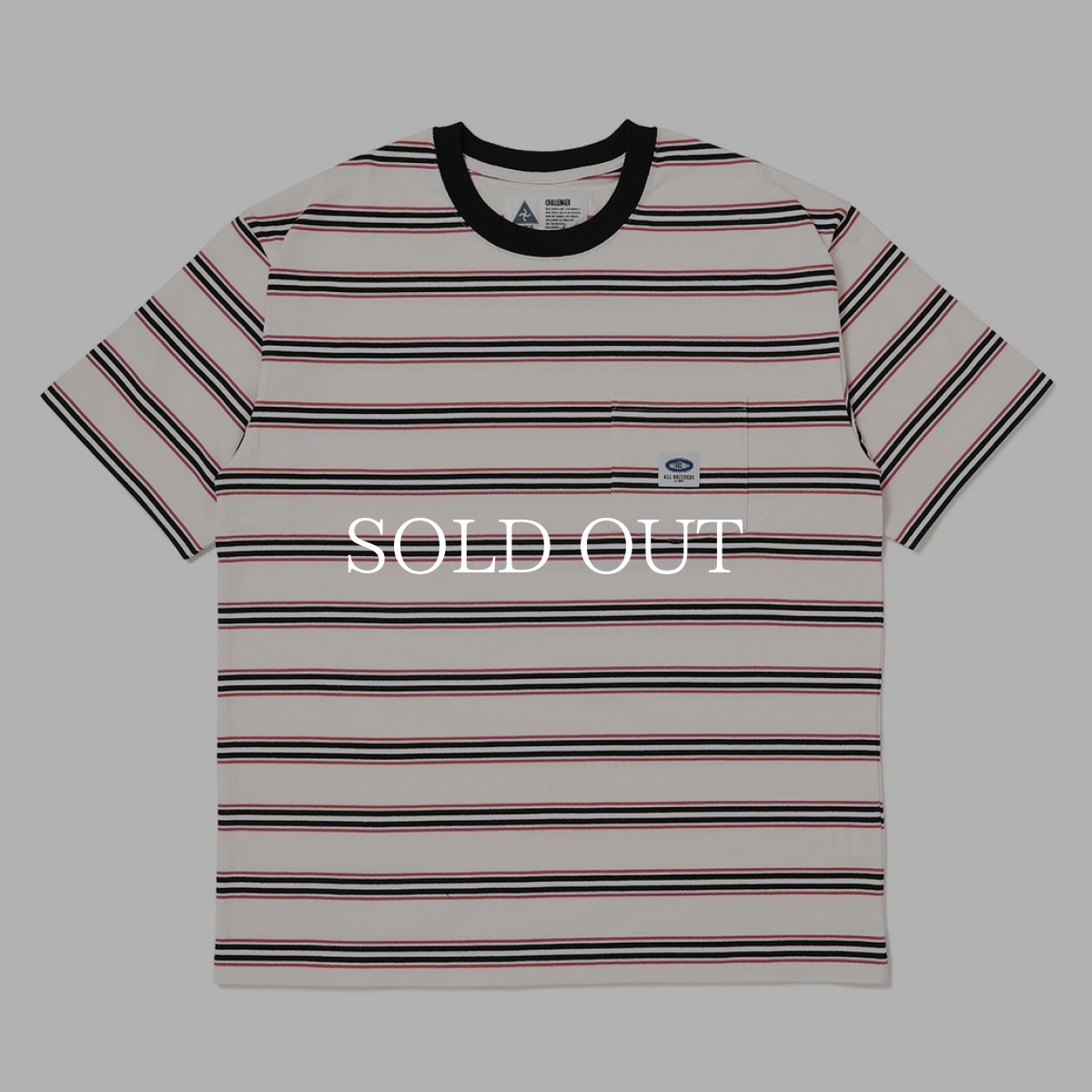 画像3: CHALLENGER  S/S AUTHENTIC BORDER TEE (3)