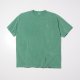 FADED GREEN__SGREEN__