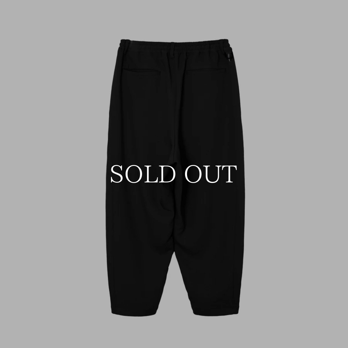 画像2: MAGIC STICK  BON-TAN TECH PANTS (2)