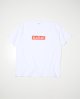 WHITE__SWHITE__