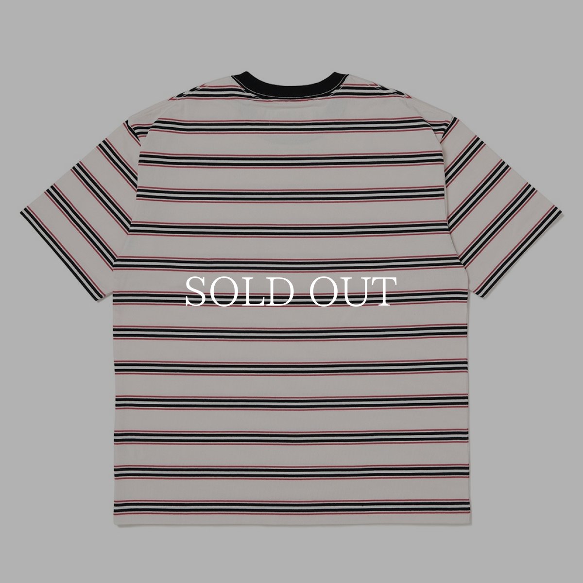 画像4: CHALLENGER  S/S AUTHENTIC BORDER TEE (4)