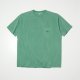 FADED GREEN__SGREEN__