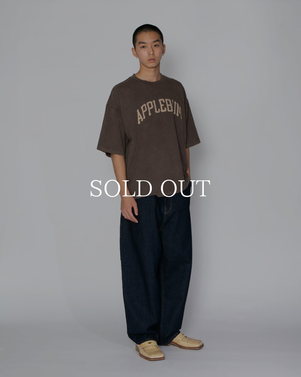 画像13: APPLEBUM  Damaged Short T-shirt (13)