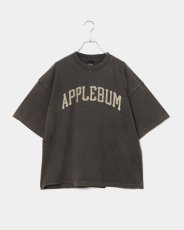 画像1: APPLEBUM  Damaged Short T-shirt (1)