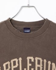 画像15: APPLEBUM  Damaged Short T-shirt (15)