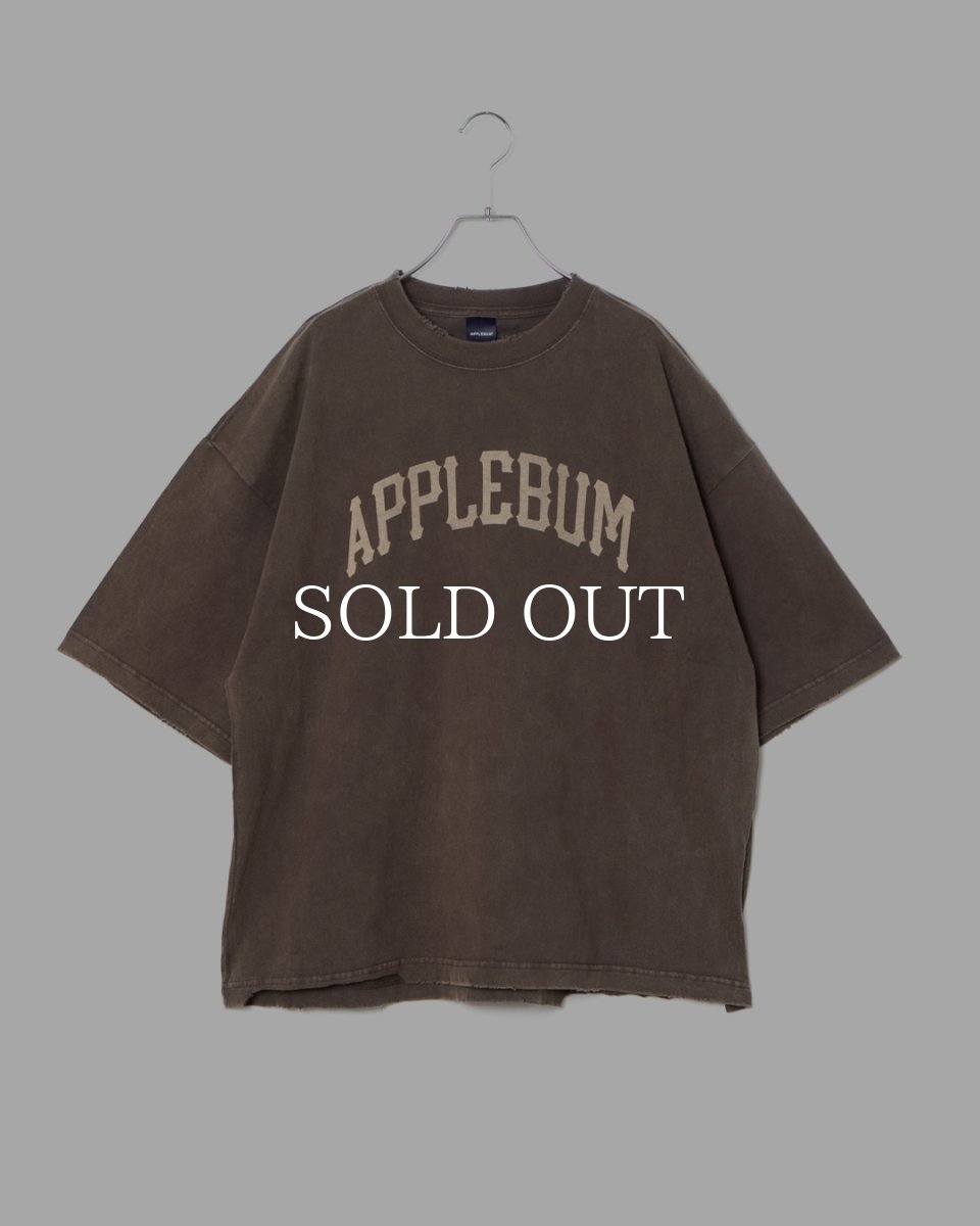画像6: APPLEBUM  Damaged Short T-shirt (6)