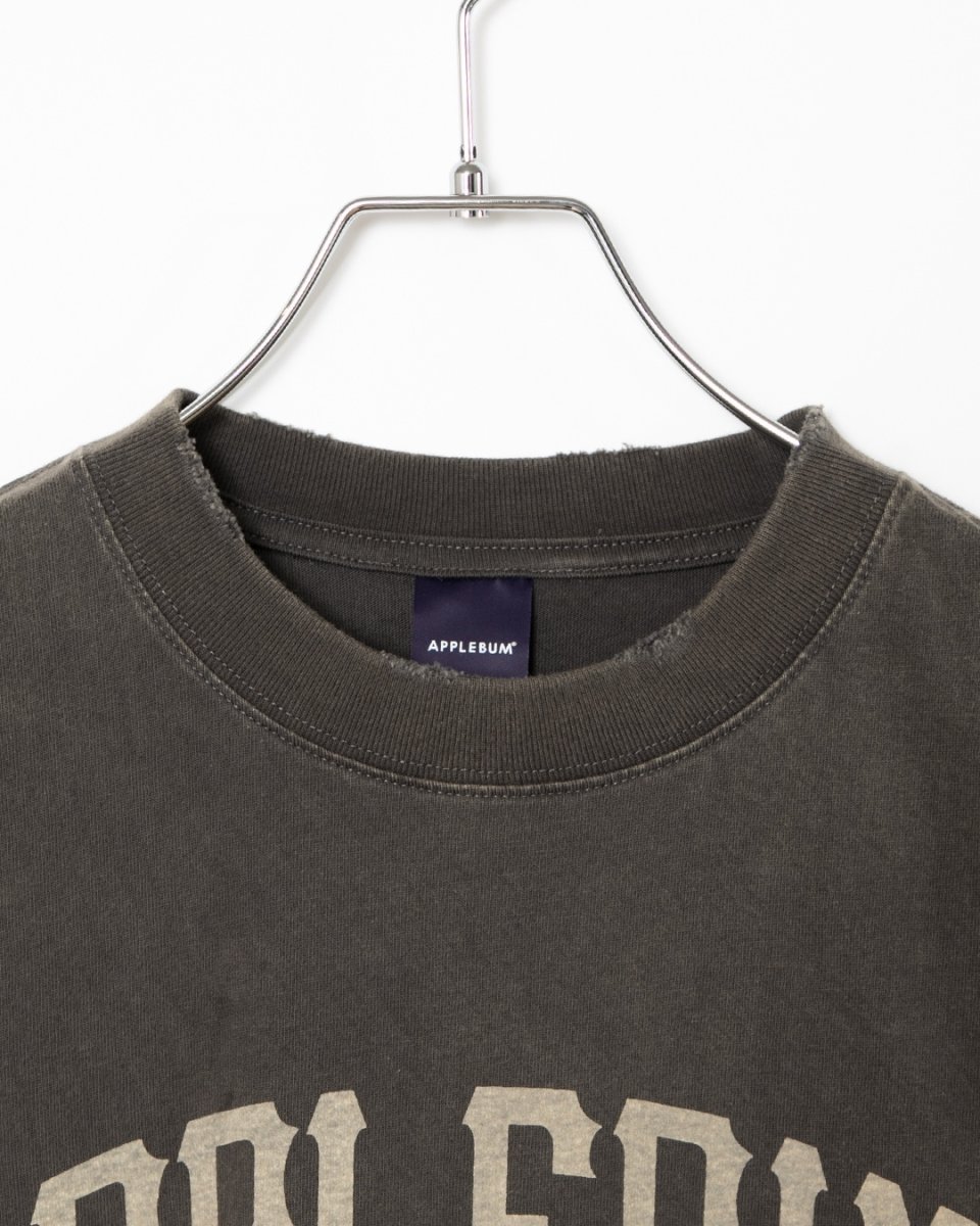 画像4: APPLEBUM  Damaged Short T-shirt (4)