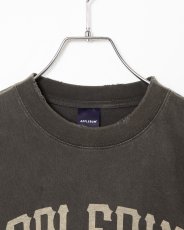 画像4: APPLEBUM  Damaged Short T-shirt (4)