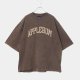 Dyed Brown__SBrown__
