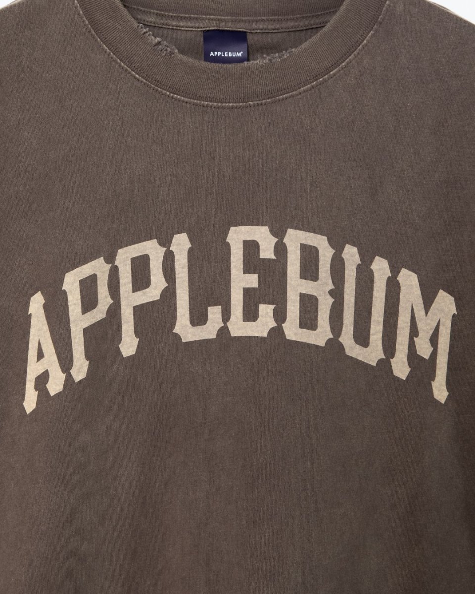 画像14: APPLEBUM  Damaged Short T-shirt (14)