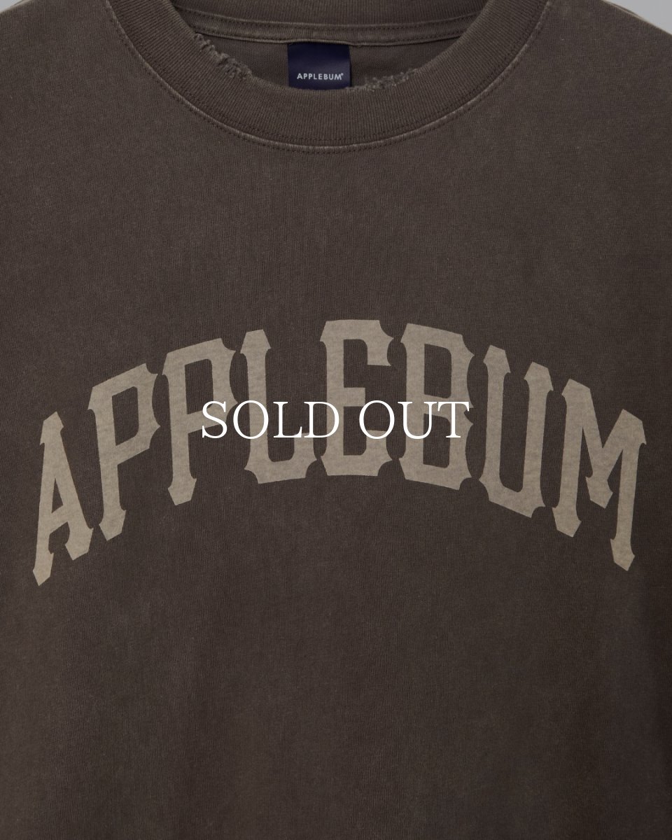 画像14: APPLEBUM  Damaged Short T-shirt (14)