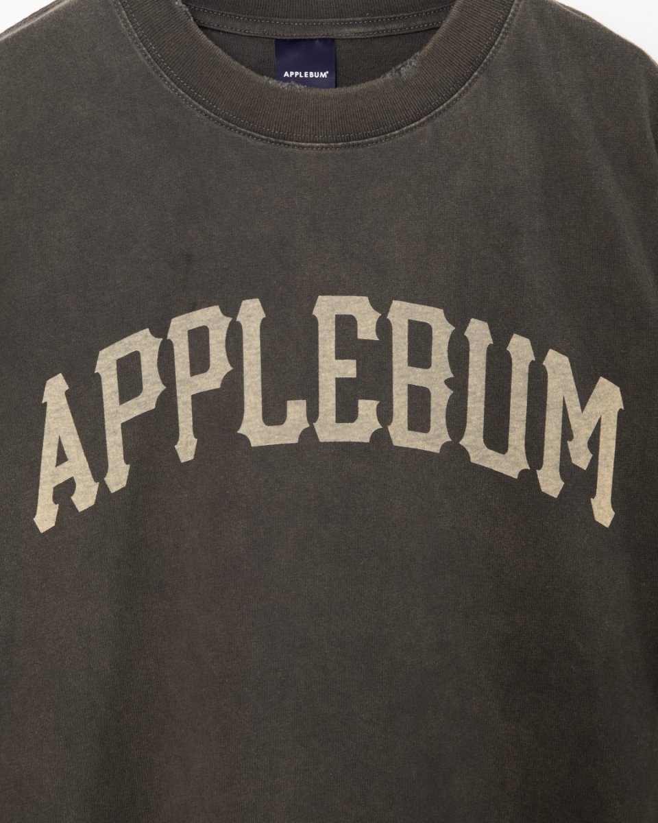 画像3: APPLEBUM  Damaged Short T-shirt (3)
