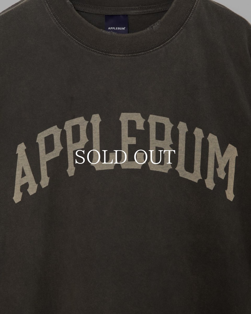 画像3: APPLEBUM  Damaged Short T-shirt (3)