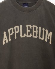 画像3: APPLEBUM  Damaged Short T-shirt (3)