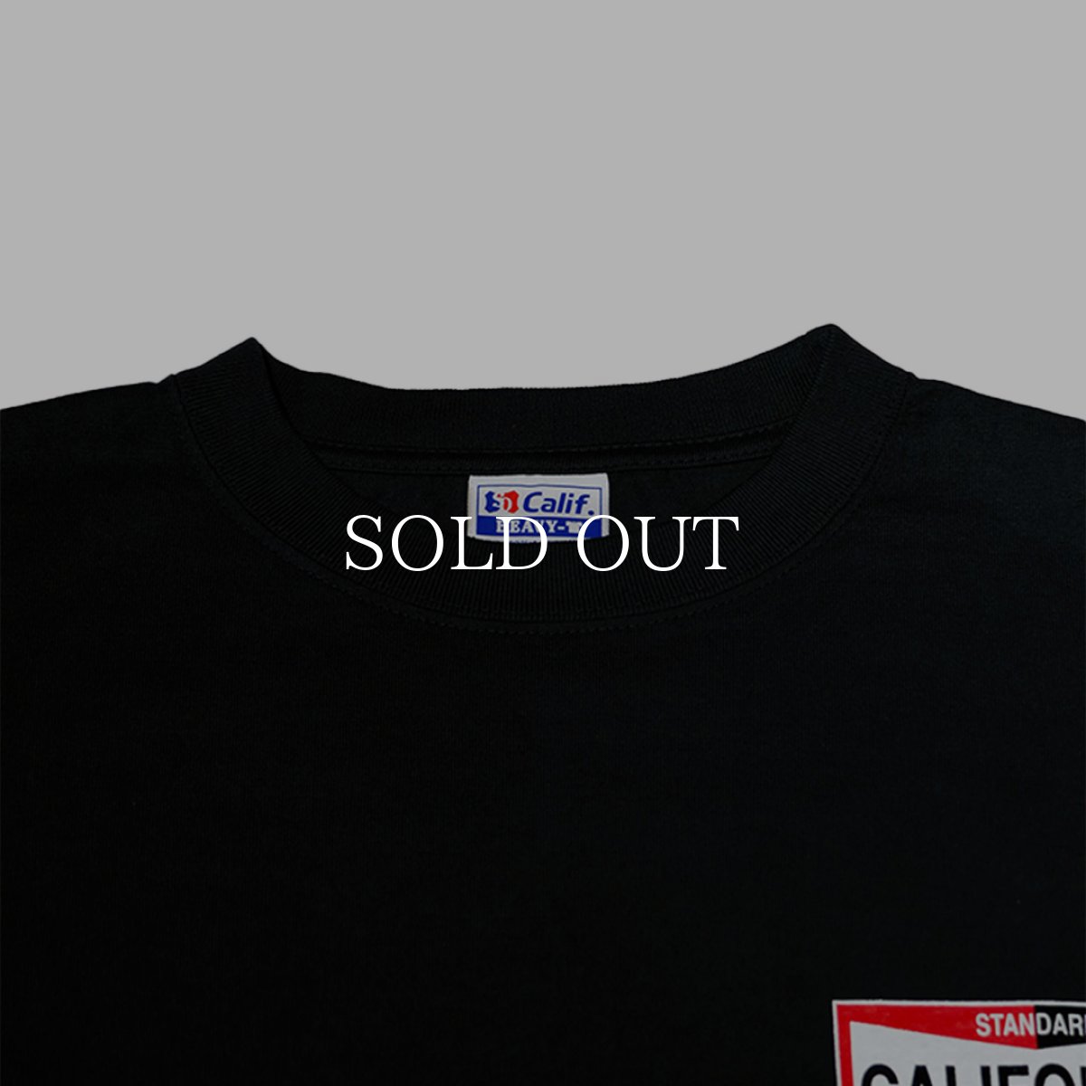 画像15: STANDARD CALIFORNIA  SD Heavyweight LOGO T ROOM LTD (15)