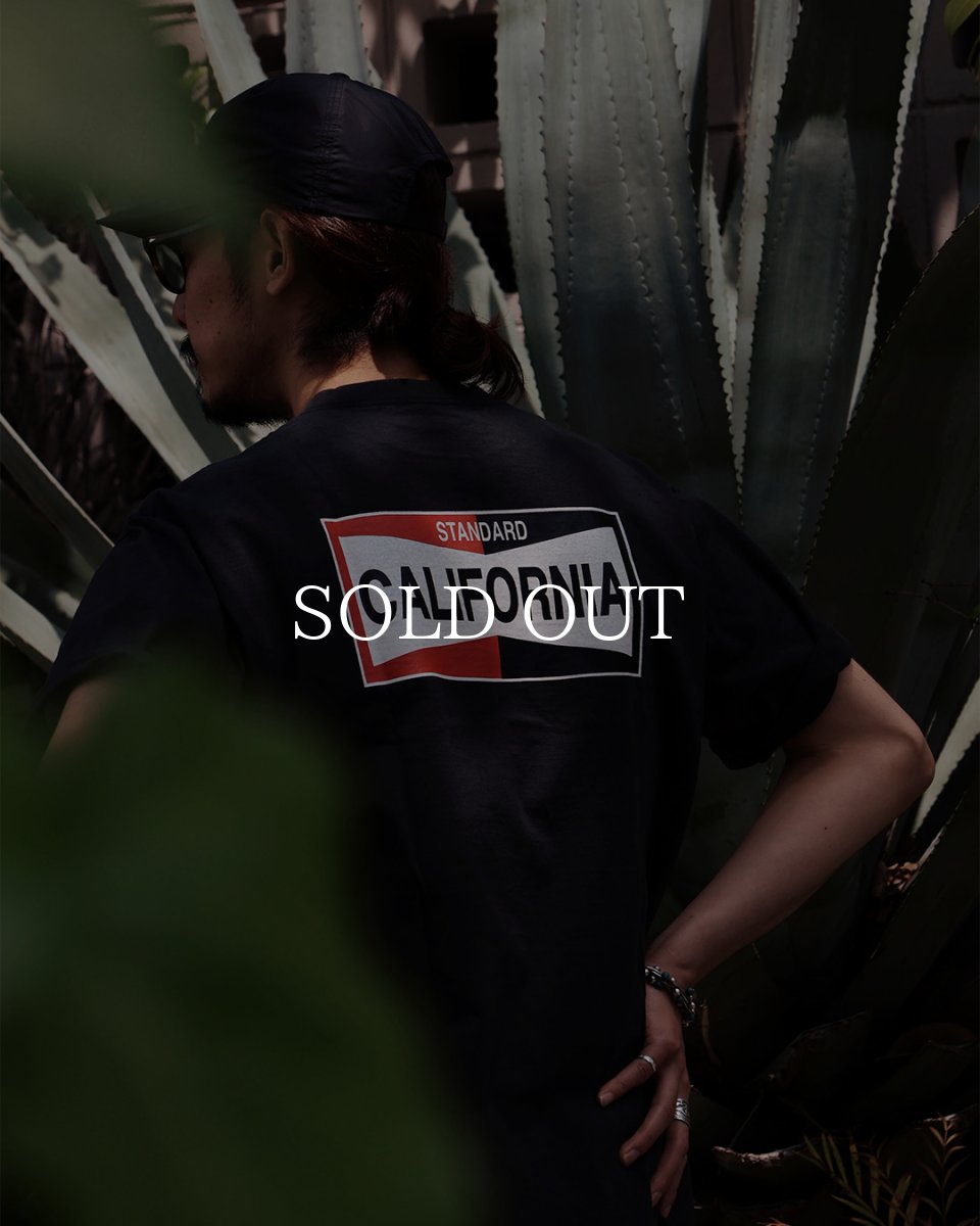 画像12: STANDARD CALIFORNIA  SD Heavyweight LOGO T ROOM LTD (12)