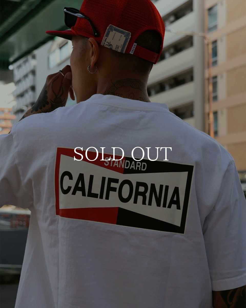画像7: STANDARD CALIFORNIA  SD Heavyweight LOGO T ROOM LTD (7)