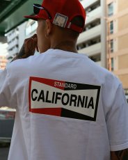 画像7: STANDARD CALIFORNIA  SD Heavyweight LOGO T ROOM LTD (7)